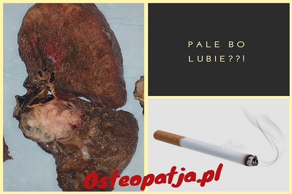 Palenie papierosów Palenie papierosów