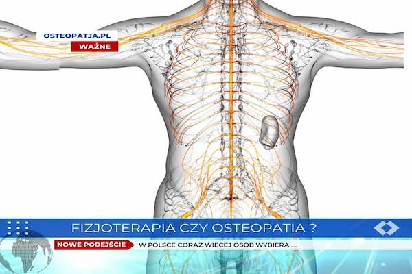 Czym się różni Fizjoterapia od Osteopatii?