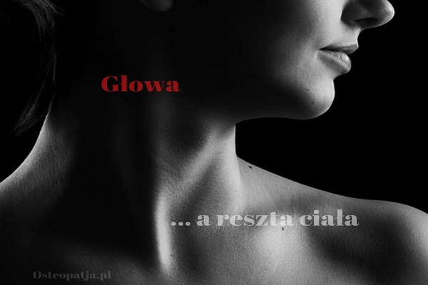 Połączenie głowy z resztą ciała