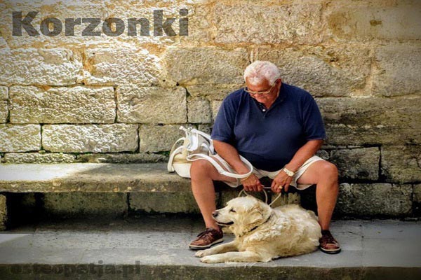 Korzonki