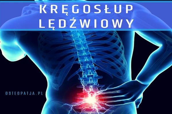 Kręgosłup lędźwiowy