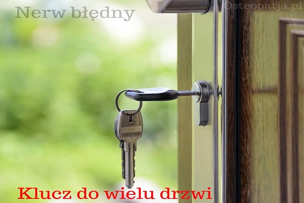 Nerw błędny - jeden klucz do wielu drzwi