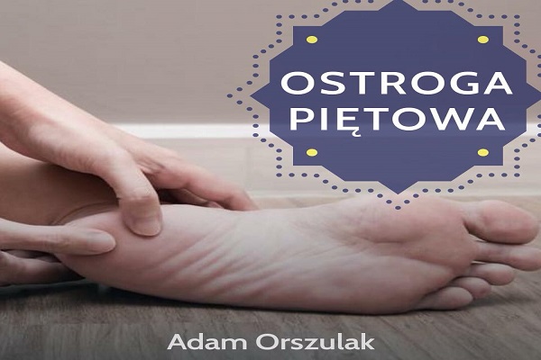 Ostroga piętowa Ostroga piętowa
