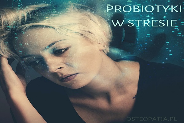 Probiotyki w stresie Probiotyki w stresie